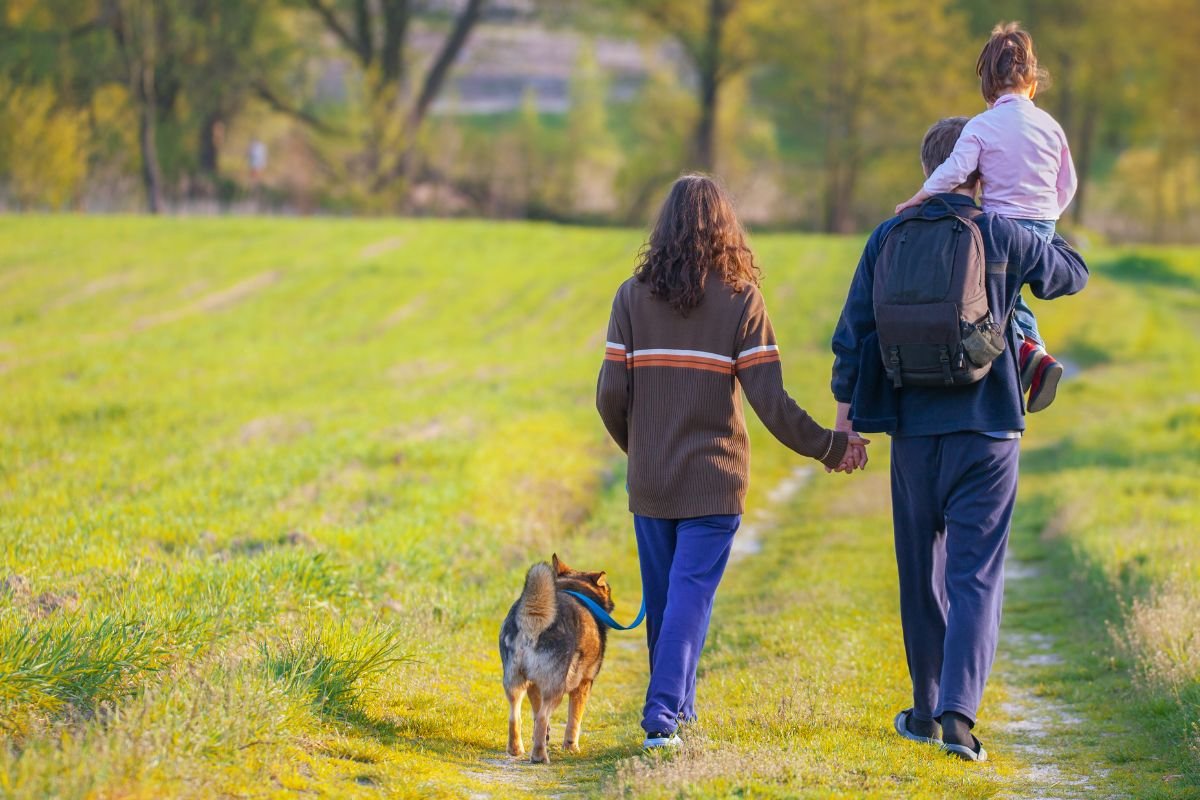 Krekenpad Wandeling