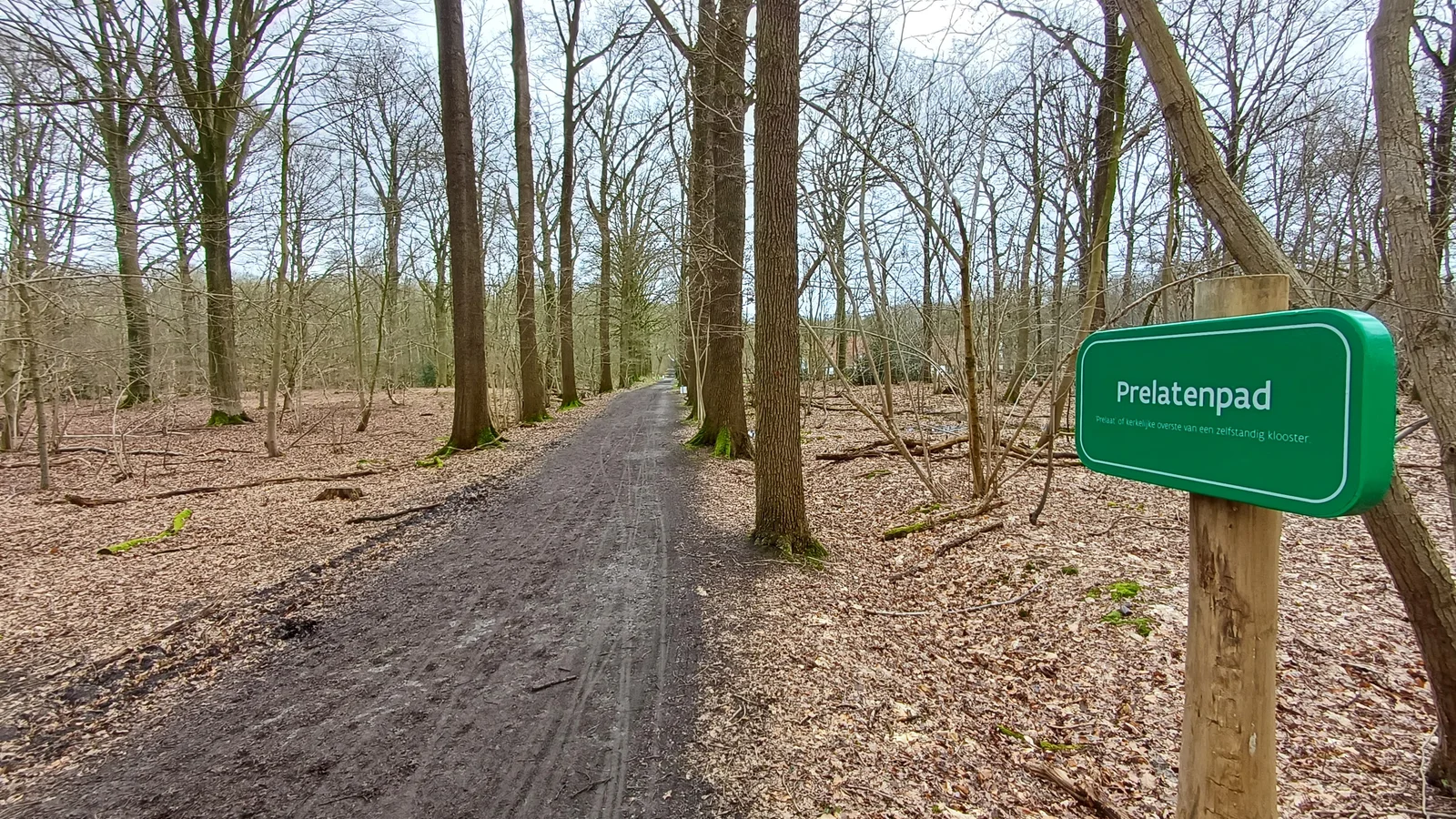 Hondvriendelijk Meetjesland: losloopzones & wandelplekken