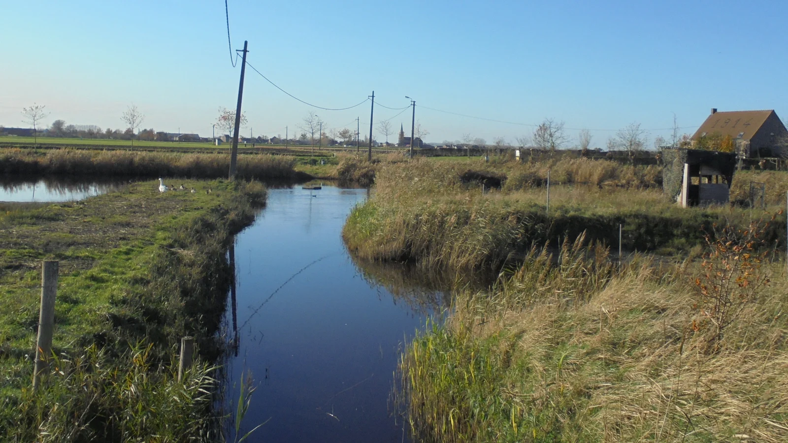 Panoramisch zicht op de Molenkreek in Sint-Margriete (Sint-Laureins) met polderlandschap en de Sint-Margarethakerk in de verte.