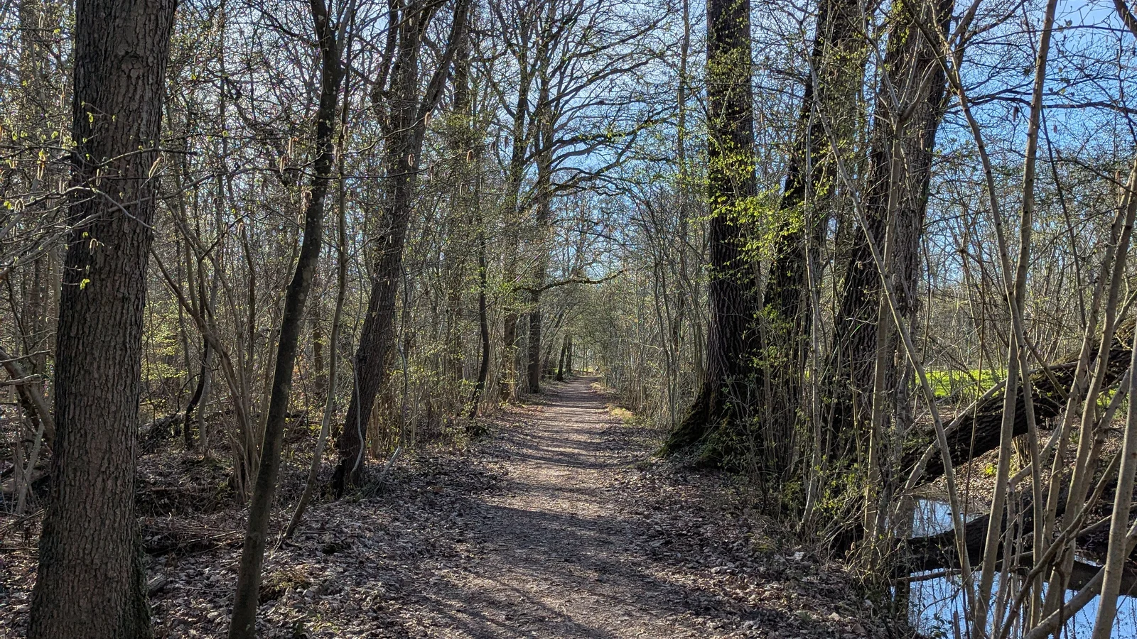 Lente Meetjesland: complete seizoensgids 2026