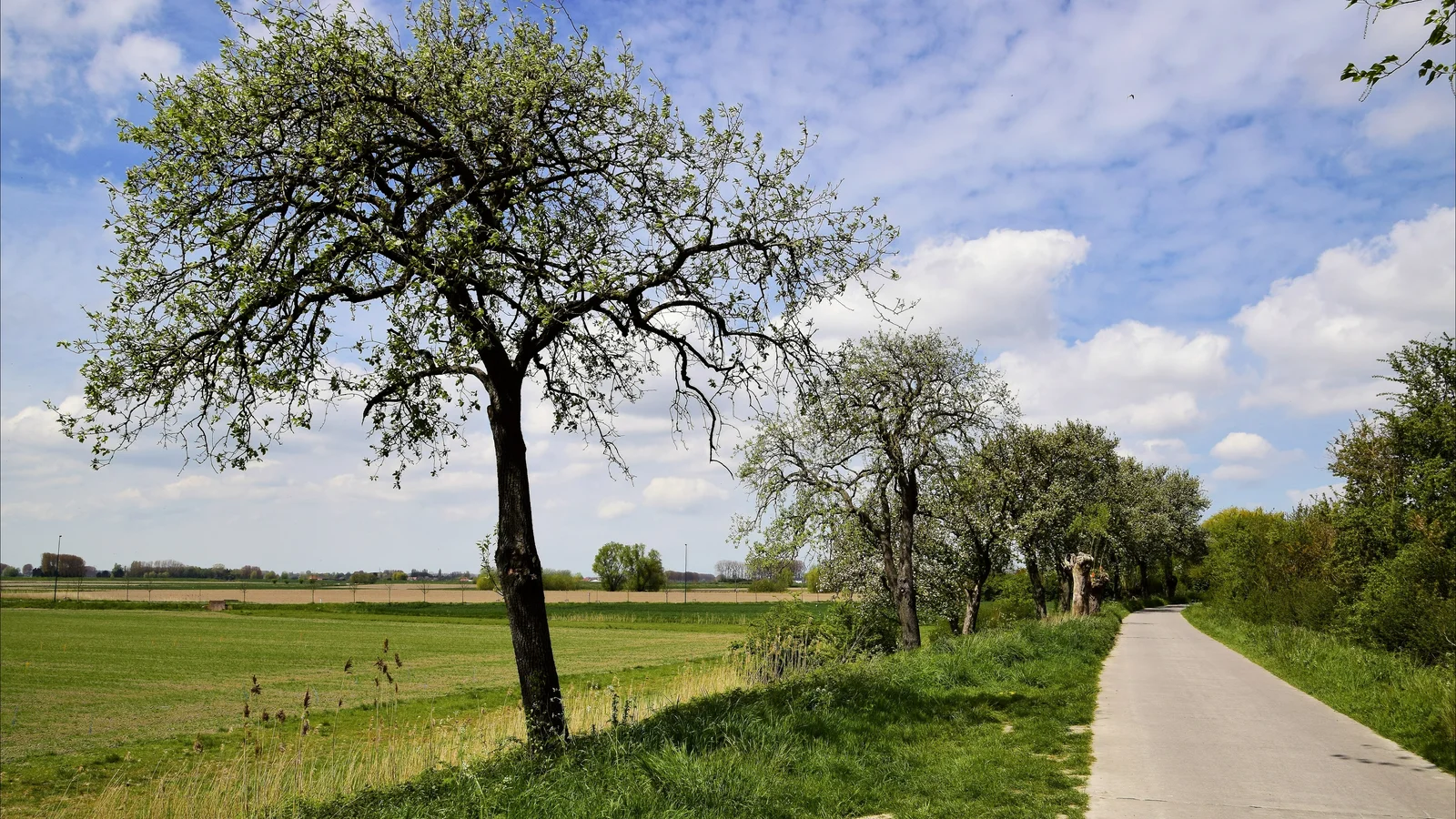De mooiste wandelroutes Meetjesland: top 5 in beeld